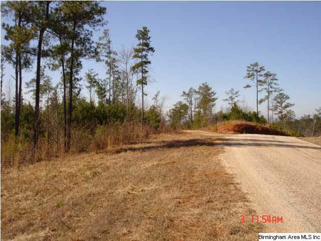 431 Highway Ac Al, Unit 46 Wedowee, AL 36278 - Photo 3 of 4
