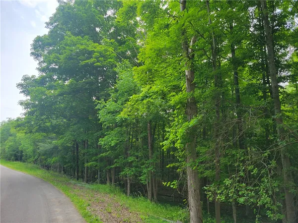 $324,900 | 0 State Route 54, Hammondsport, NY 14840