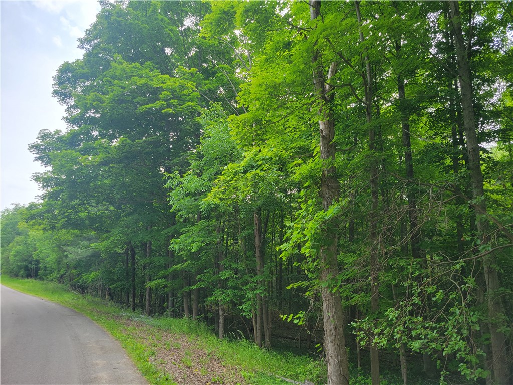 0 State Route 54 Hammondsport, NY 14840 - Photo 12 of 14