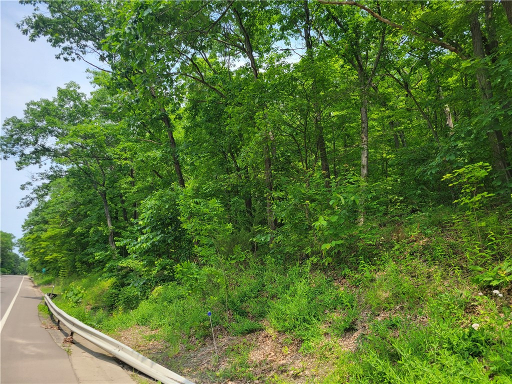 0 State Route 54 Hammondsport, NY 14840 - Photo 13 of 14