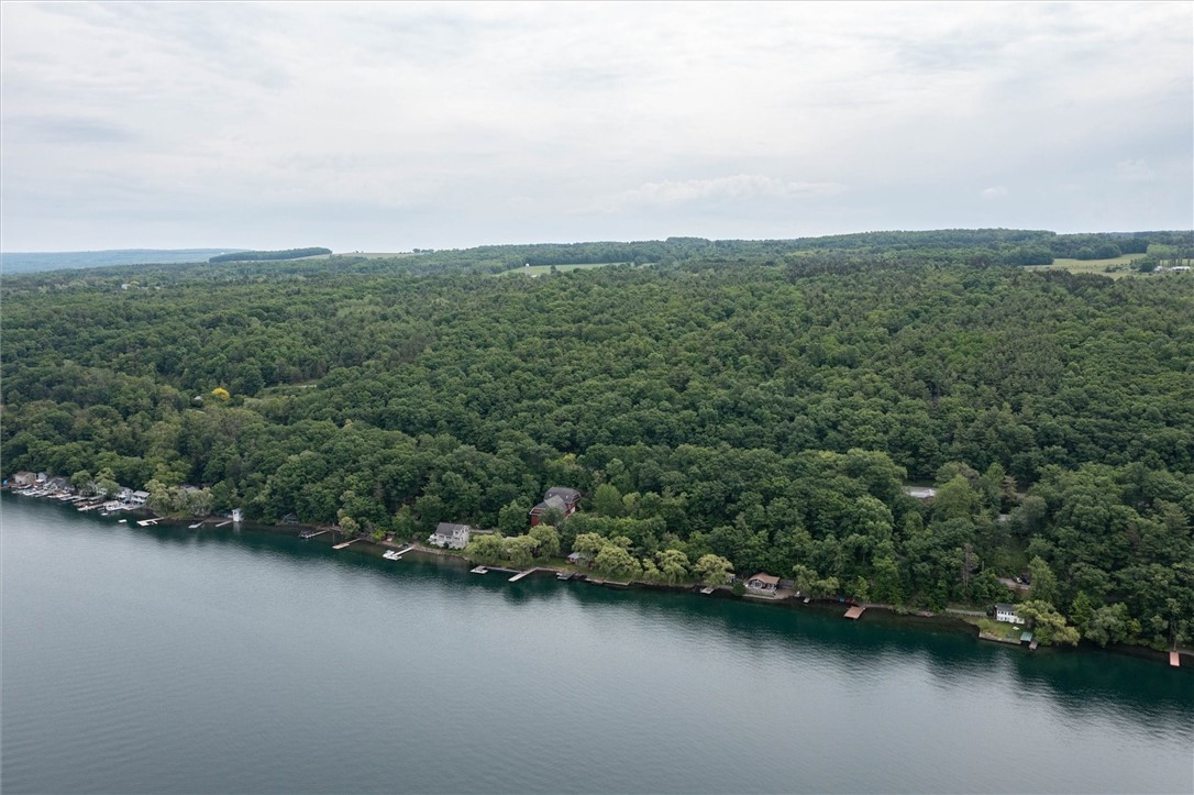 0 State Route 54 Hammondsport, NY 14840 - Photo 2 of 14