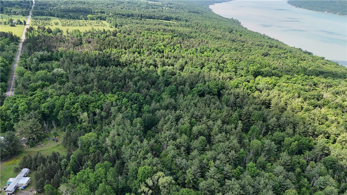 0 State Route 54 Hammondsport, NY 14840 - Photo 8 of 14