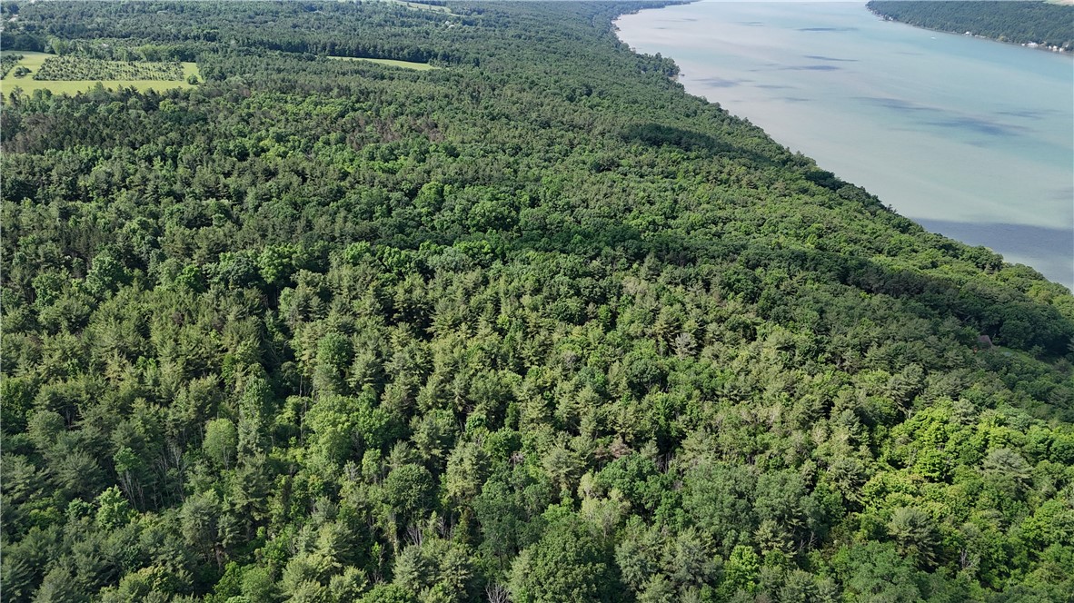 0 State Route 54 Hammondsport, NY 14840 - Photo 9 of 14