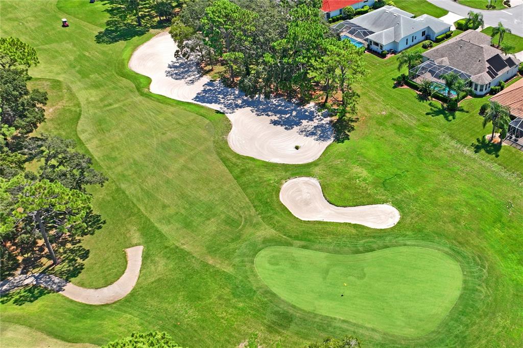 10155 Duffy Circle Weeki Wachee, FL 34613 - Photo 100 of 100