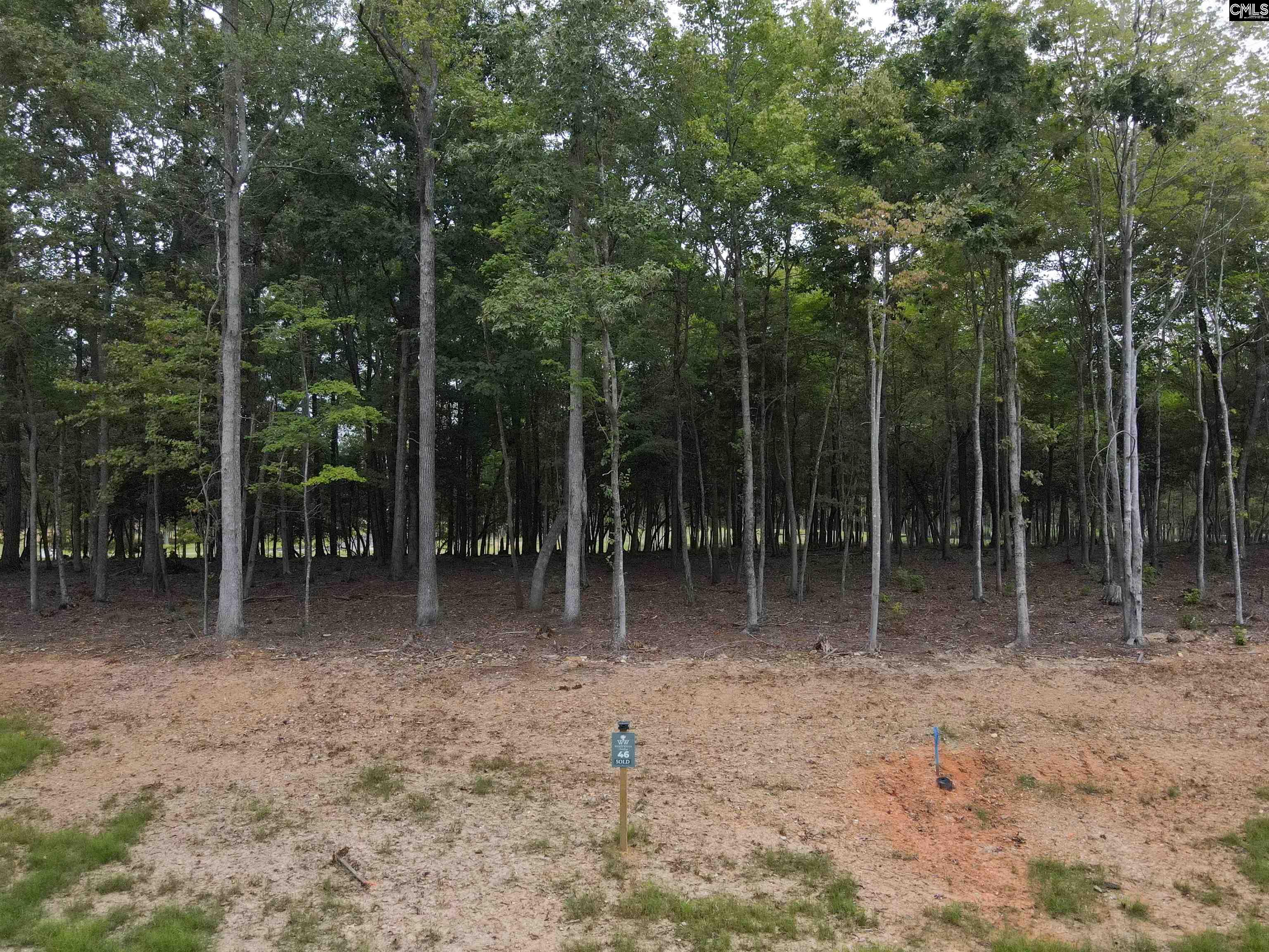 1064 Refuge Place Chapin, SC 29036 - Photo 9 of 20