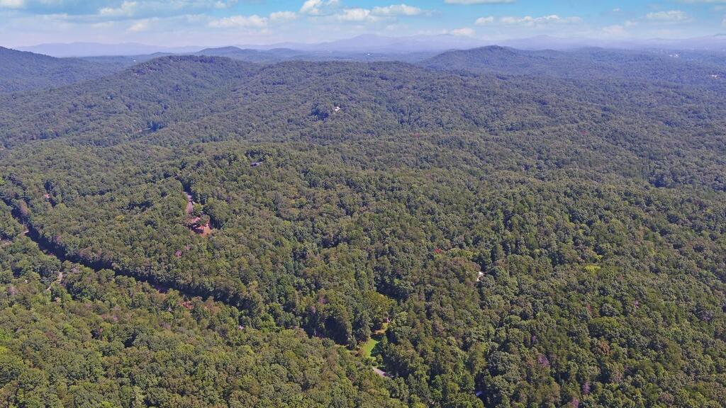 1374 Lucius Road Cherry Log, GA 30522 - Photo 52 of 64 Gallery Image 52