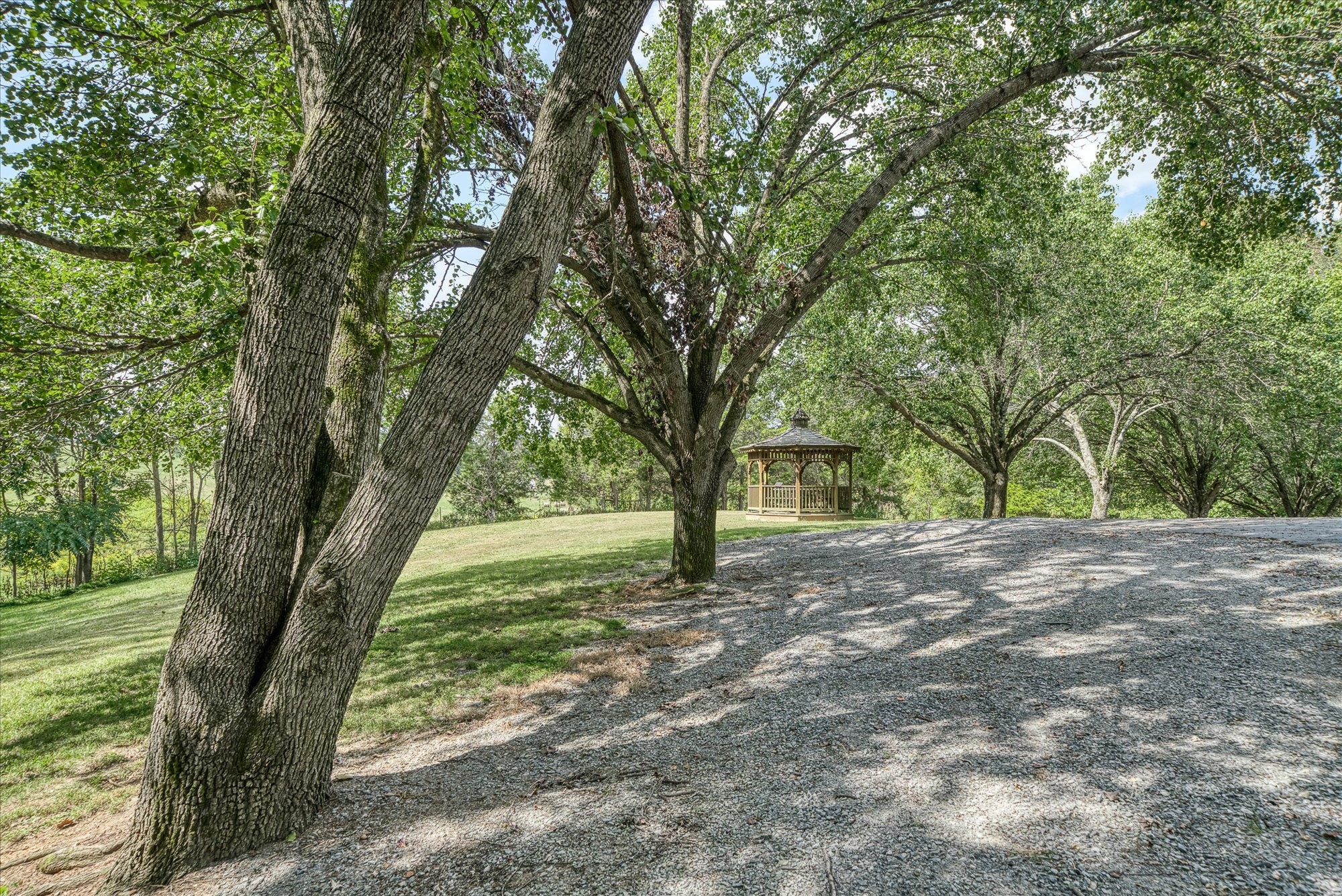 385 Paul Reecer Road Moss, TN 38575 - Photo 22 of 75 a big yard with large trees