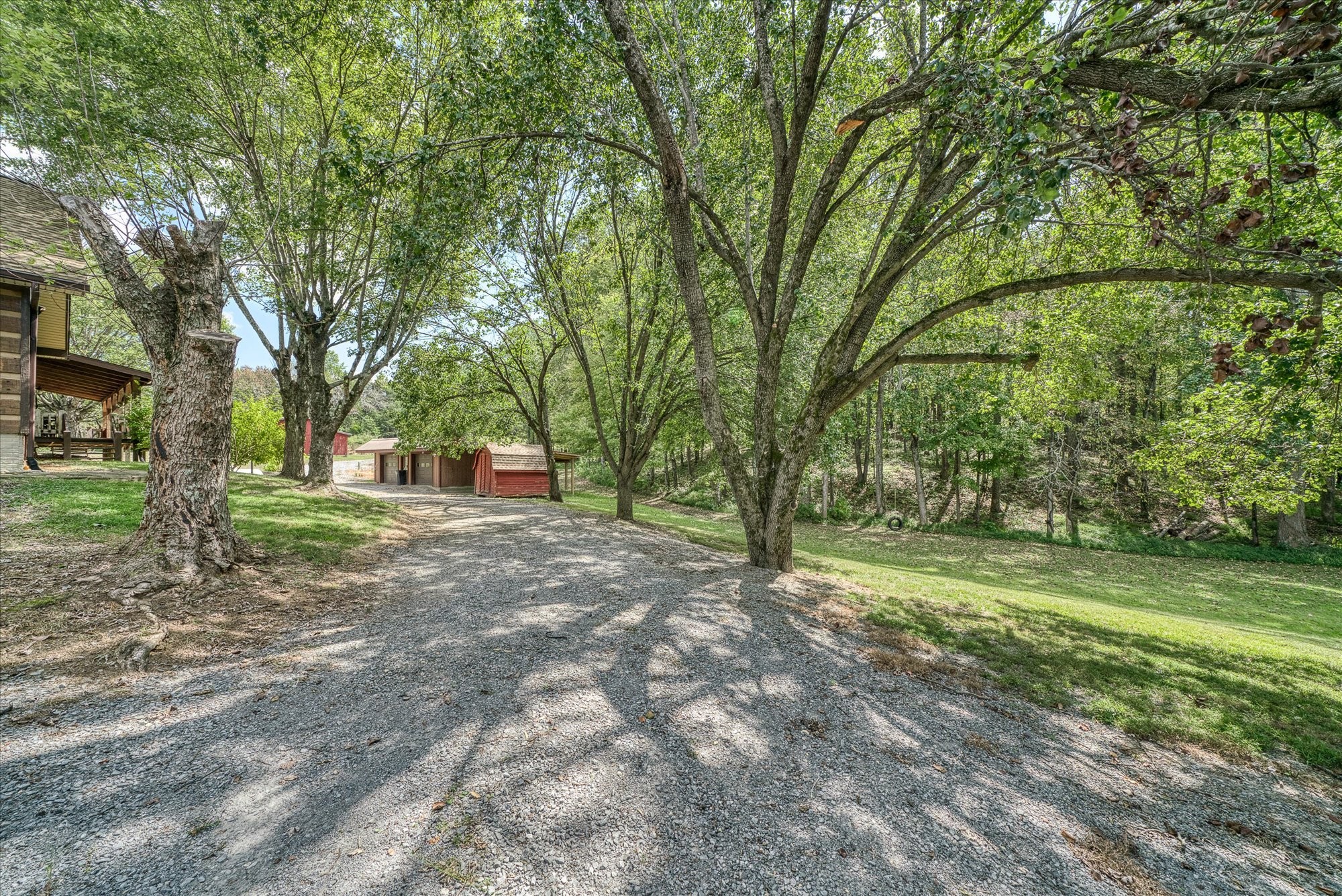 385 Paul Reecer Road Moss, TN 38575 - Photo 24 of 75 a view of a yard with a tree