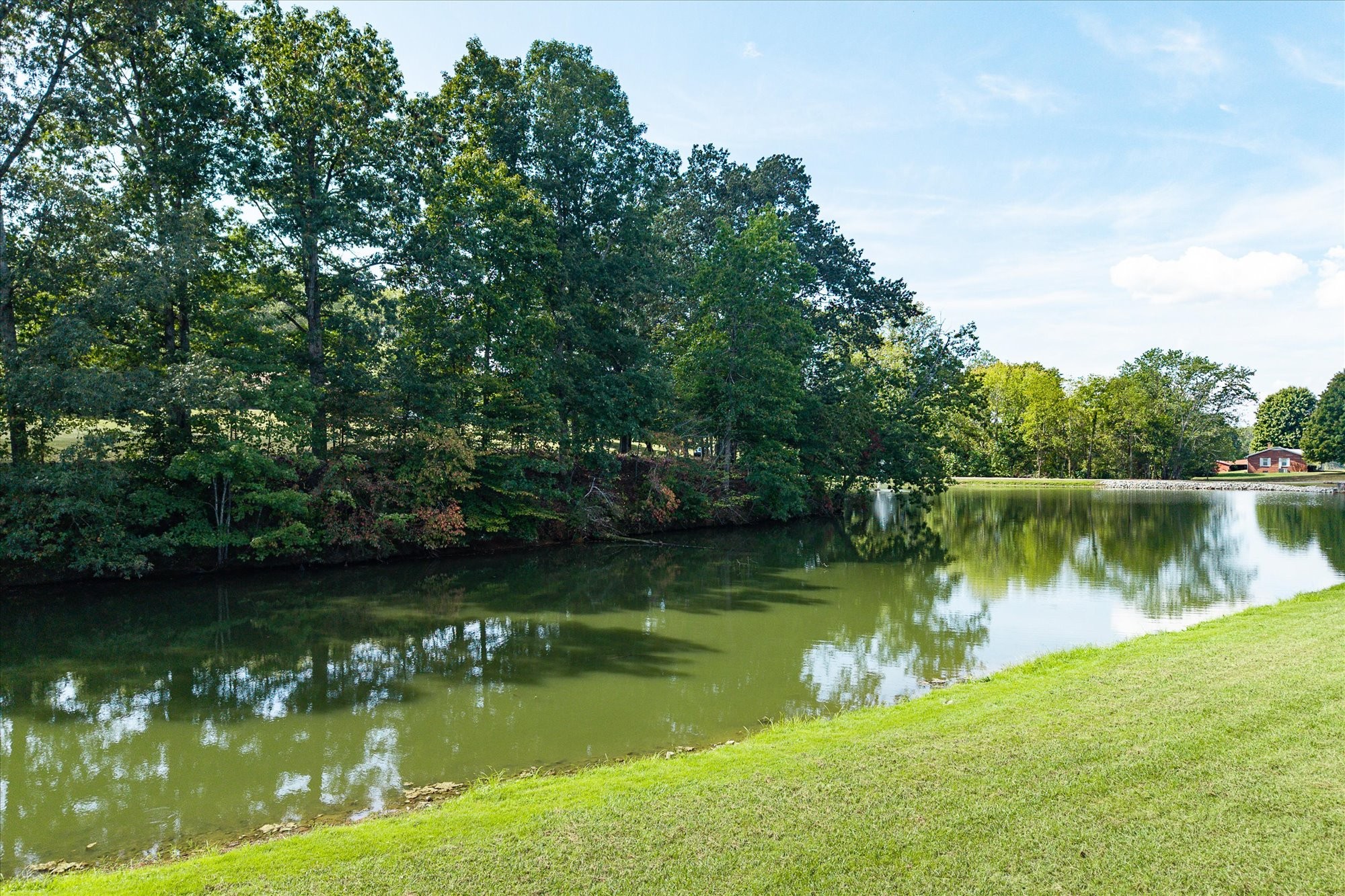385 Paul Reecer Road Moss, TN 38575 - Photo 59 of 75 a view of a lake with a yard and large trees