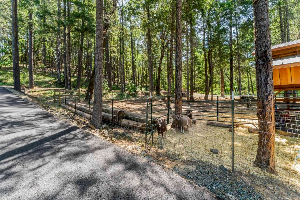 1040 Ferry Road Grants Pass, OR 97526 - Photo 65 of 67 DSC05711