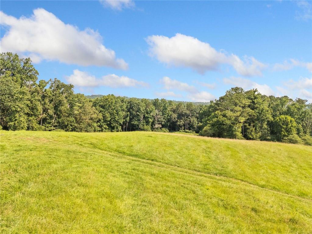 187 Long Road Ball Ground, GA 30107 - Photo 3 of 19