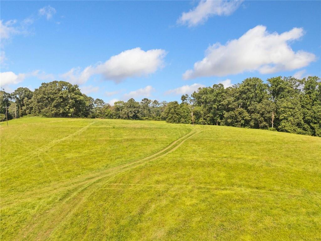 187 Long Road Ball Ground, GA 30107 - Photo 5 of 19