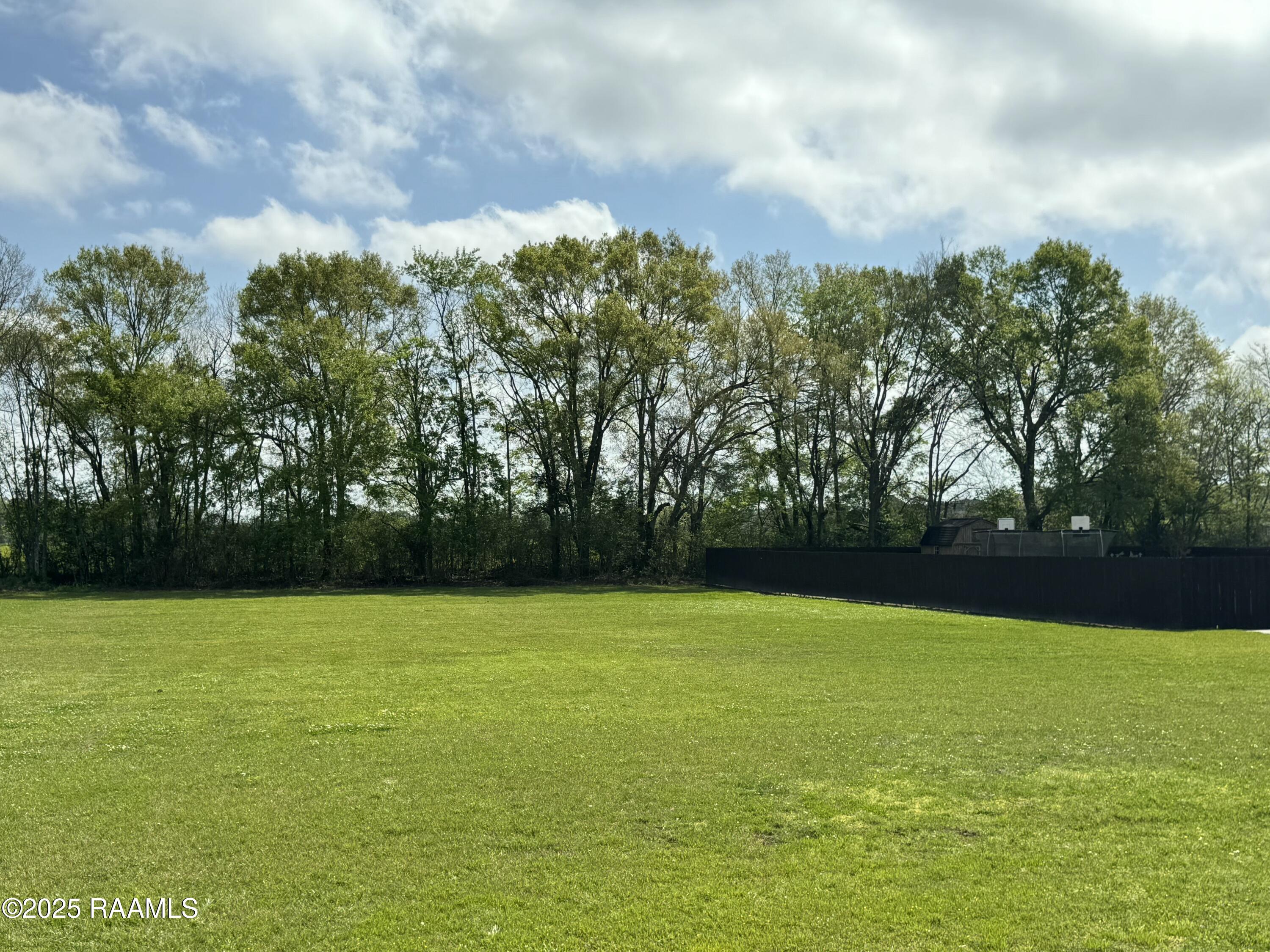 Lot 29 Christian Point Road Opelousas, LA 70570 - Photo 4 of 5 0.481 AC