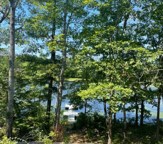 267 Young Road Augusta, ME 04330 - Photo 19 of 43 IMG_5064