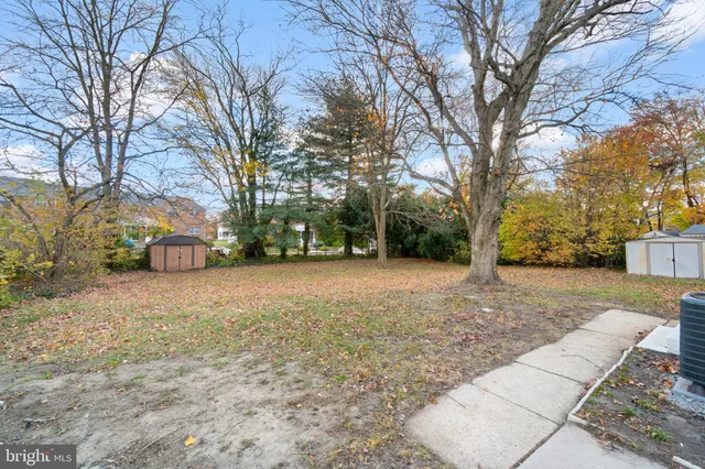 a view of a yard with plants and trees