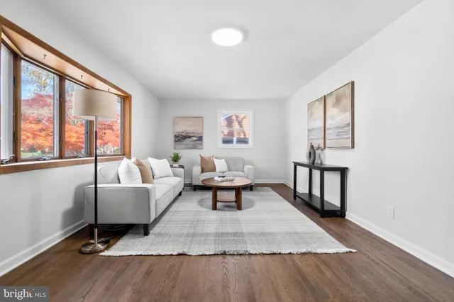 a living room with furniture a rug potted plant and a large window