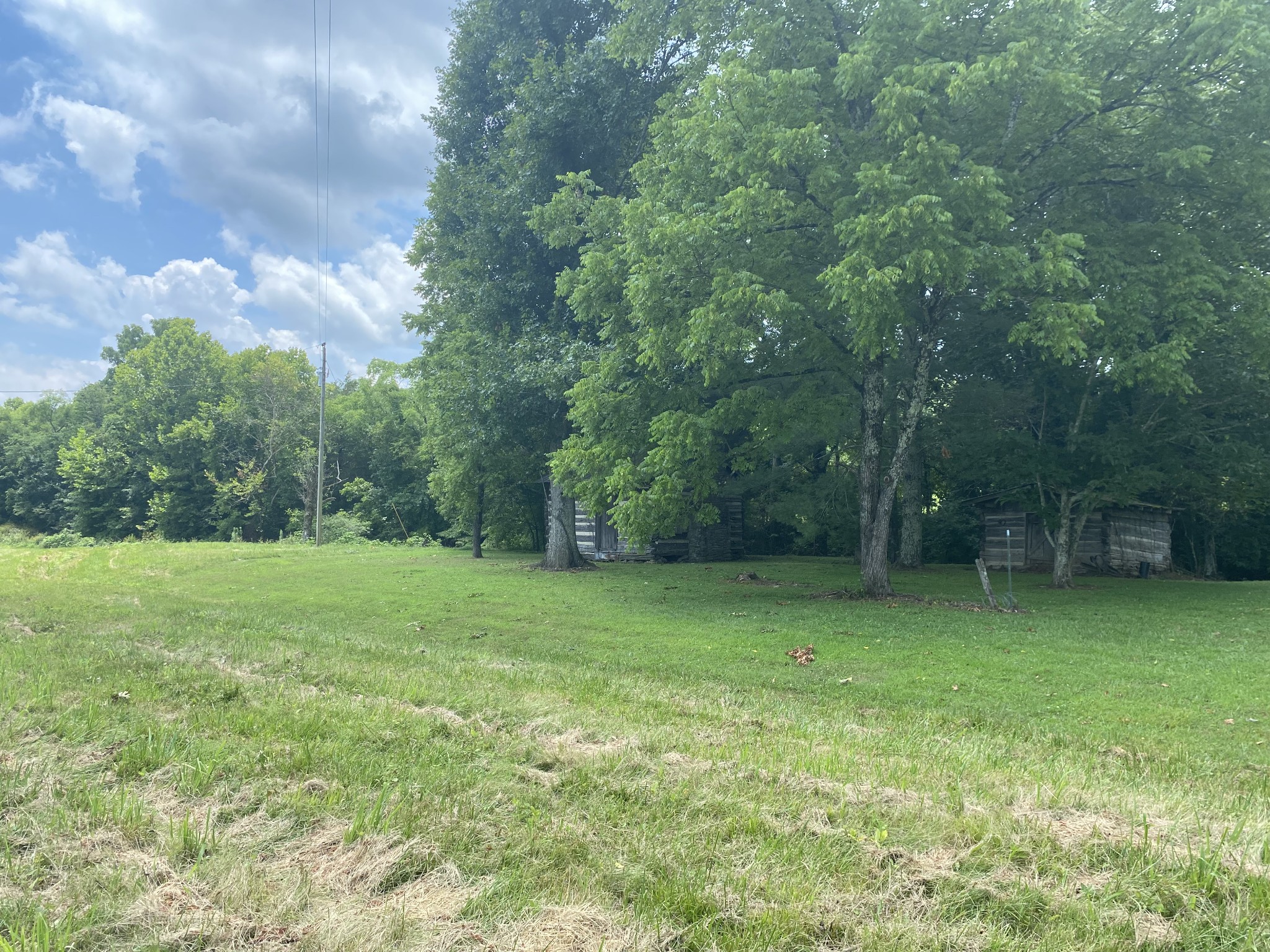 1 Diana Road Cornersville, TN 37047 - Photo 11 of 11