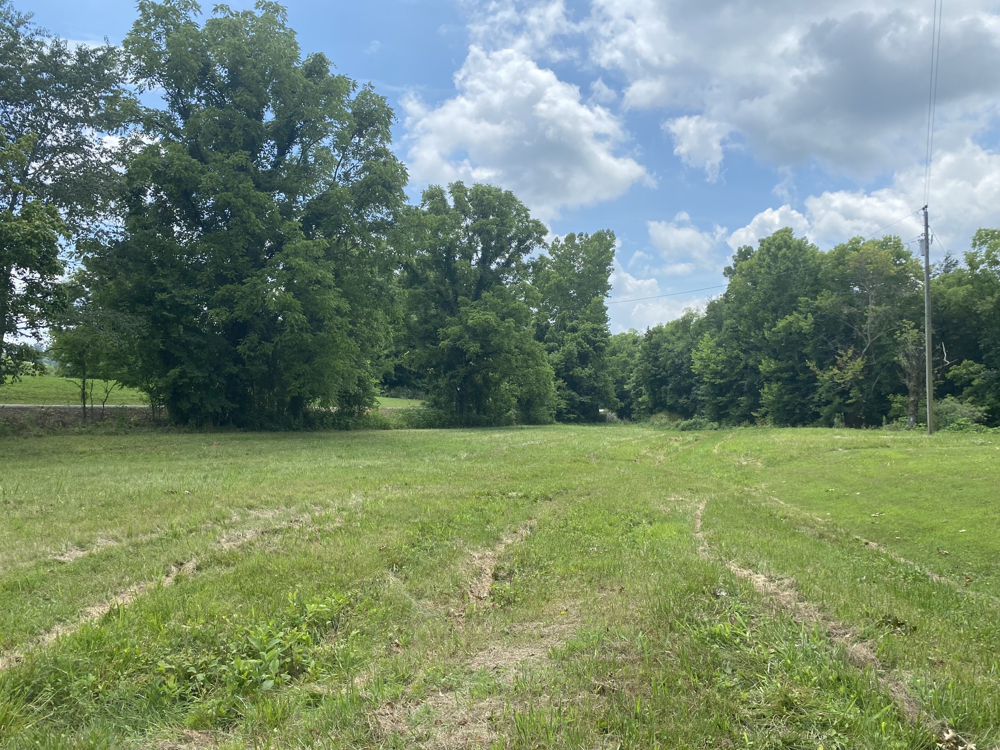 1 Diana Road Cornersville, TN 37047 - Photo 2 of 11