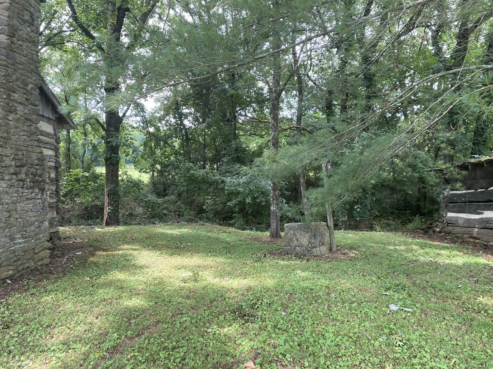 1 Diana Road Cornersville, TN 37047 - Photo 4 of 11