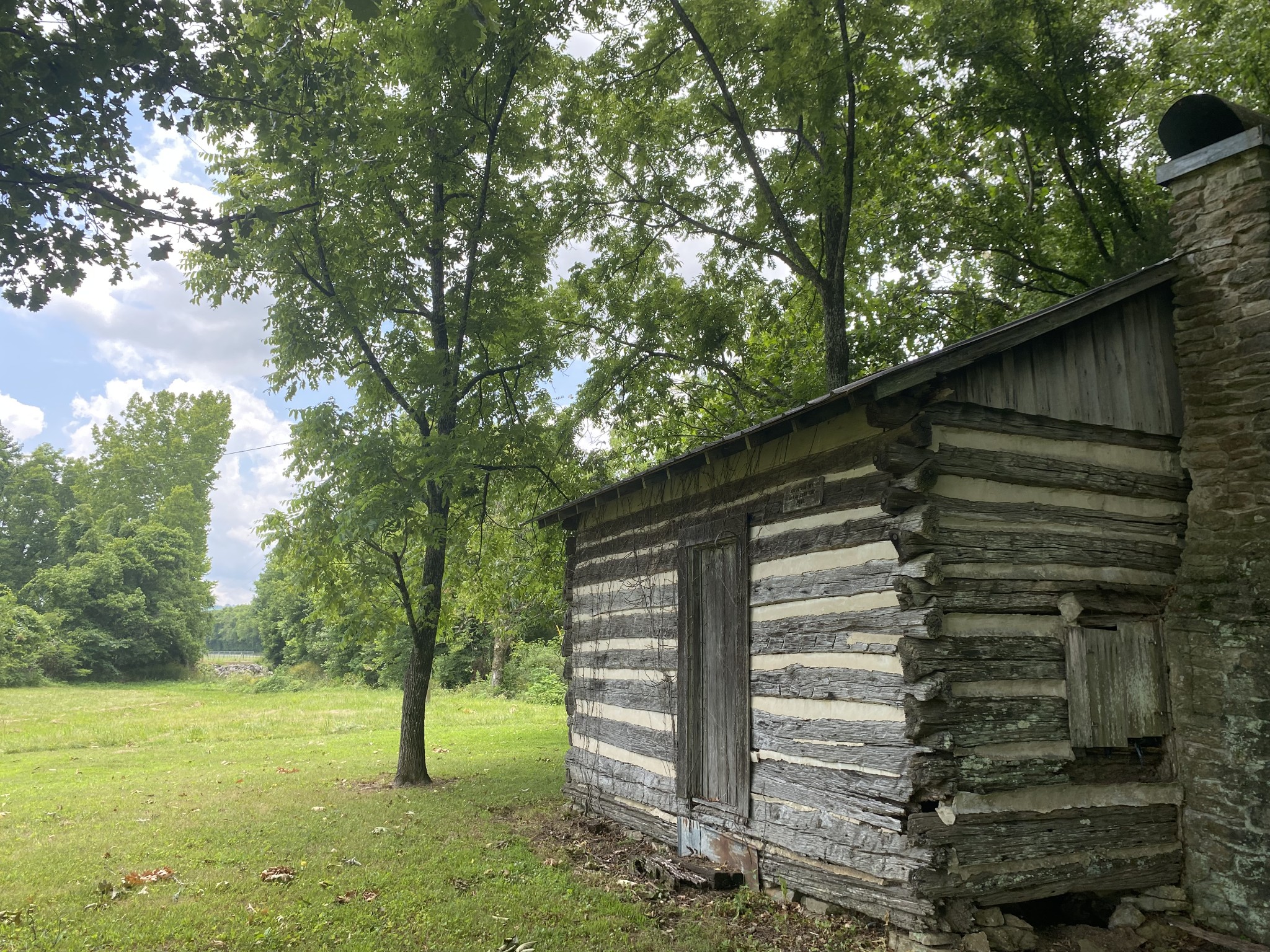 1 Diana Road Cornersville, TN 37047 - Photo 5 of 11