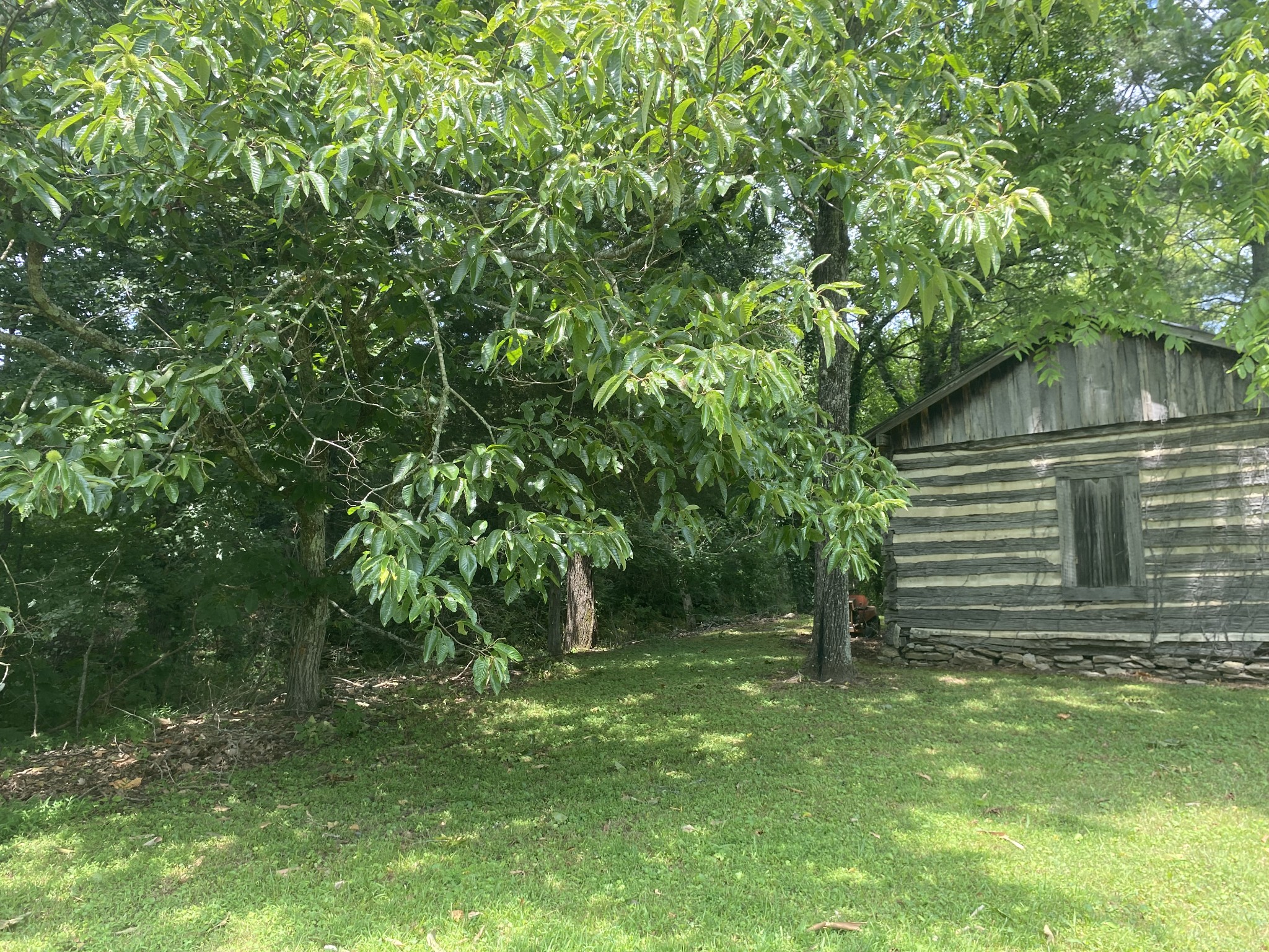 1 Diana Road Cornersville, TN 37047 - Photo 8 of 11