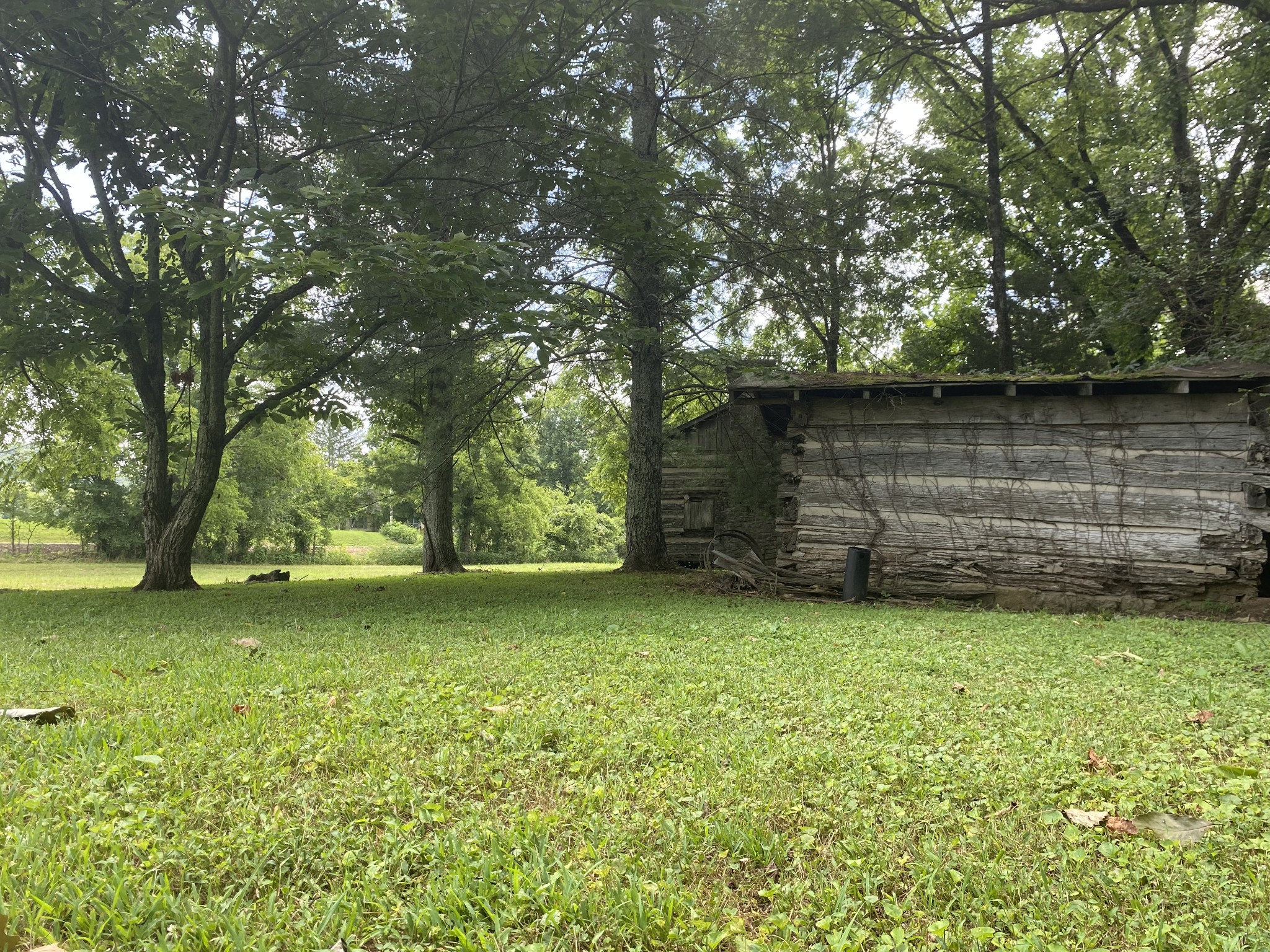 1 Diana Road Cornersville, TN 37047 - Photo 10 of 11