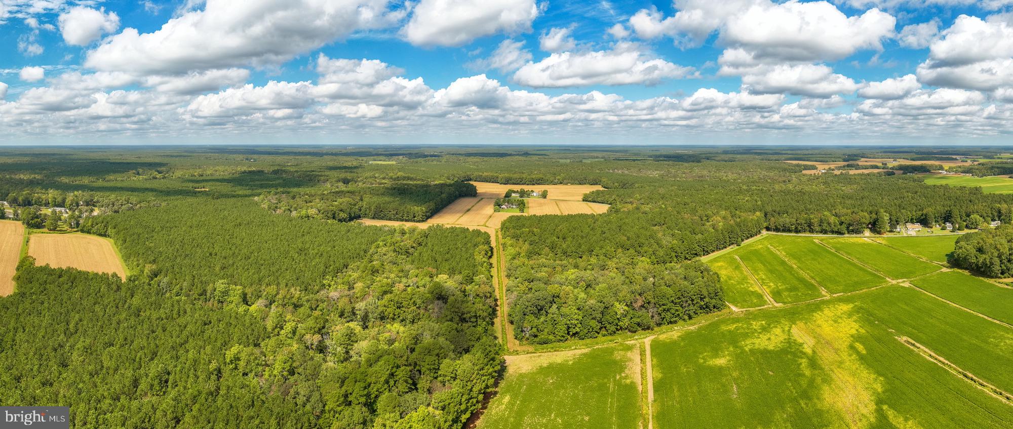 0 Bob Smith Road Parsonsburg, MD 21849 - Photo 4 of 13