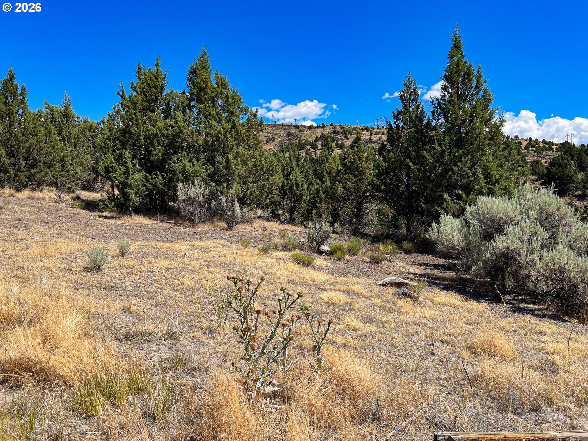 219 Valley View Drive John Day, OR 97845 - Photo 2 of 11