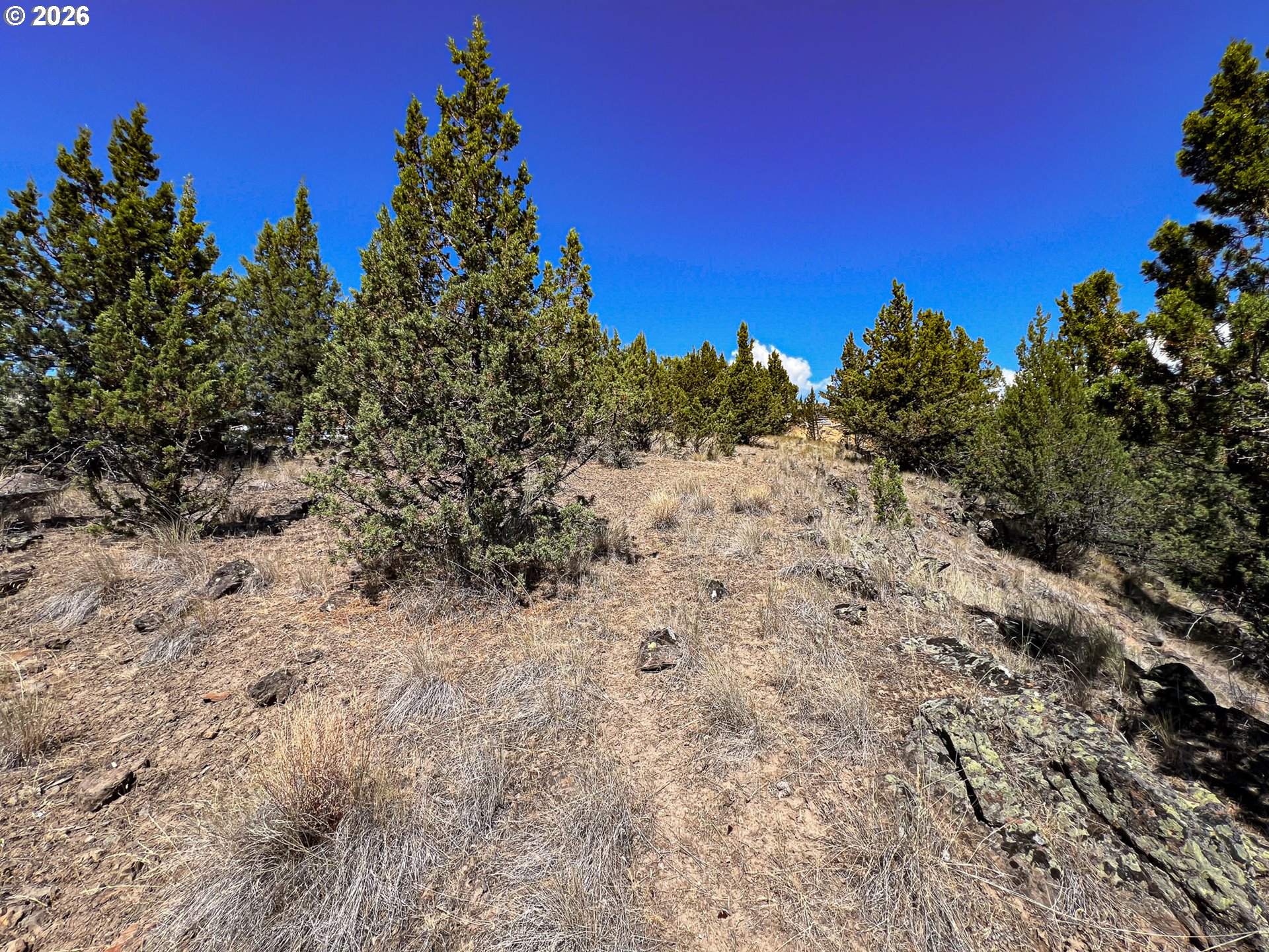 219 Valley View Drive John Day, OR 97845 - Photo 8 of 11