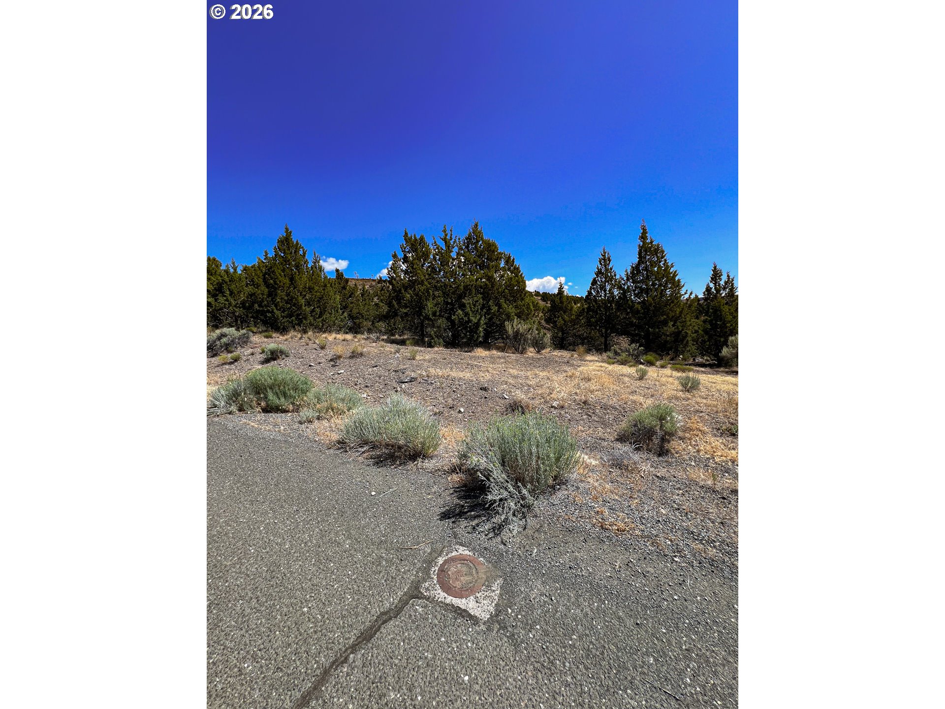 219 Valley View Drive John Day, OR 97845 - Photo 10 of 11