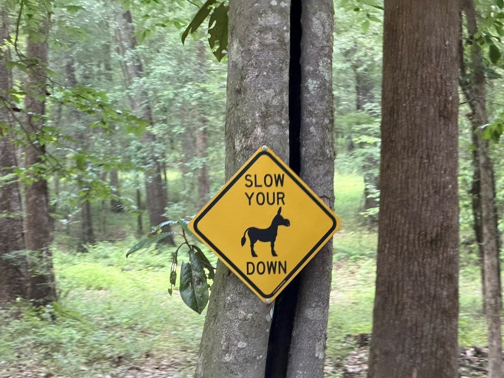 4574 Hadley Ferry Road Cairo, GA 39828 - Photo 12 of 51 Always a good sign!