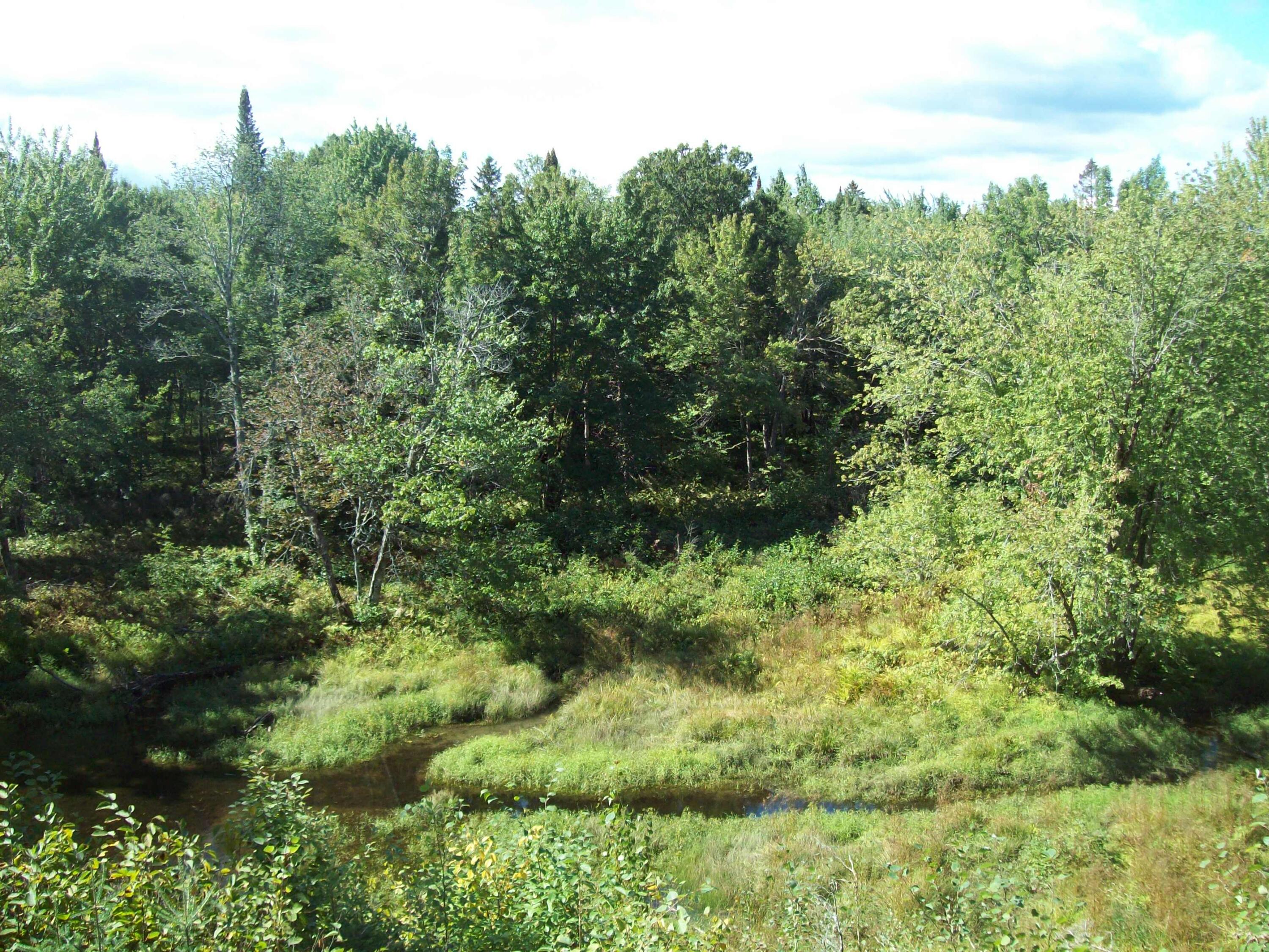 Tbd Swimming Hole Road Kingman, ME 04451 - Photo 21 of 27 100_2320