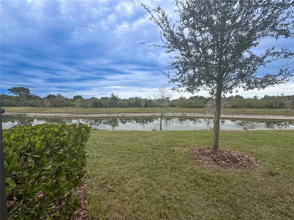 a view of a lake with a big yard and large trees