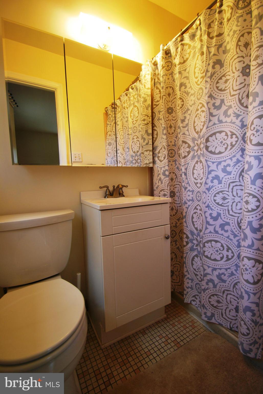 6806 Houndmaster Road Springfield, VA 22152 - Photo 15 of 27 Bath (Master)