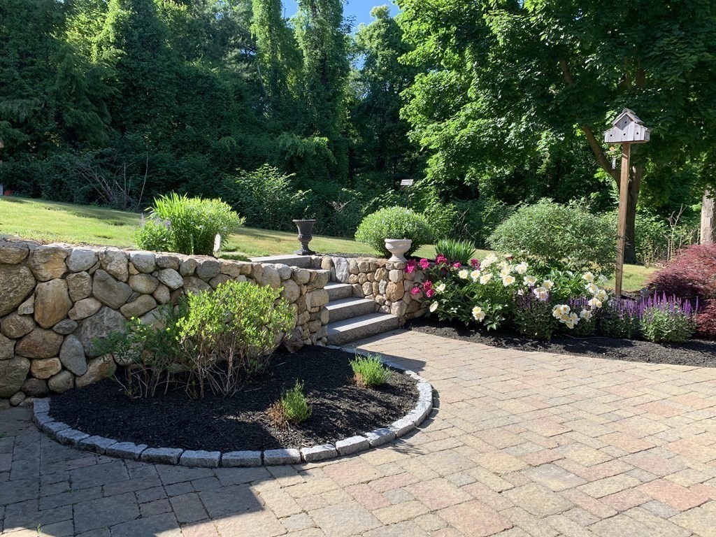 1 Barnbridge Circle Framingham, MA 01701 - Photo 36 of 42 a view of a garden with plants