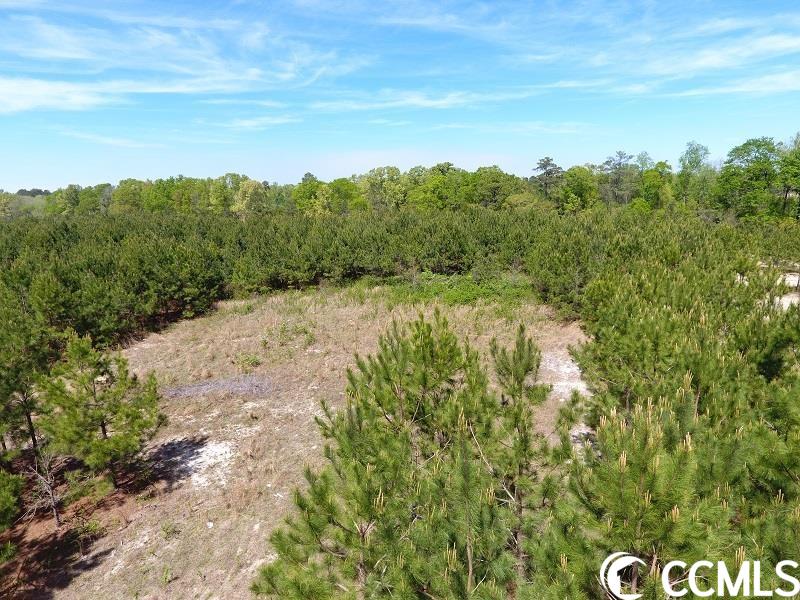 15 Lee Road Gibson, NC 28343 - Photo 1 of 3