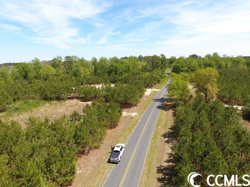 15 Lee Road Gibson, NC 28343 - Photo 2 of 3