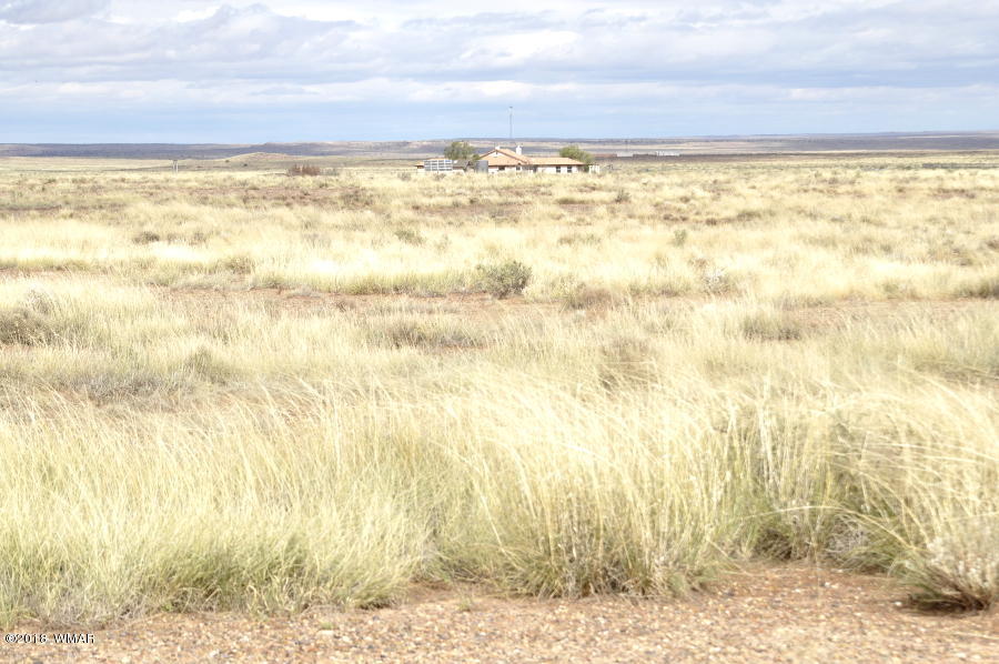 5565 Blue Sky Ranch Road Snowflake, AZ 85937 - Photo 54 of 54 Gallery Image 54