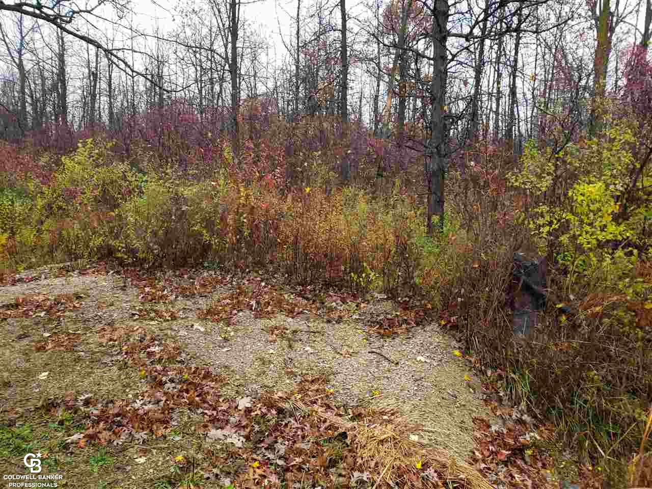 Burt Road Emmett, MI 48022 - Photo 1 of 6