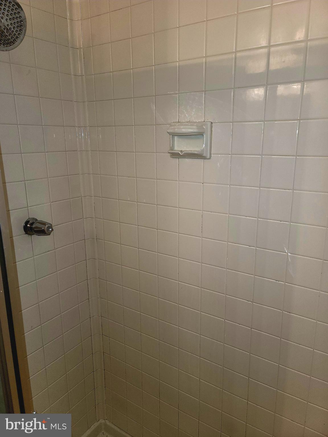 2226 Castle Rock Square, Unit 1B Reston, VA 20191 - Photo 13 of 26 Standing Shower