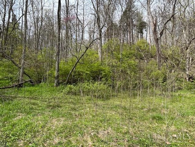 619 Felicity Cedron Rural Road Felicity, OH 45120 - Photo 10 of 15