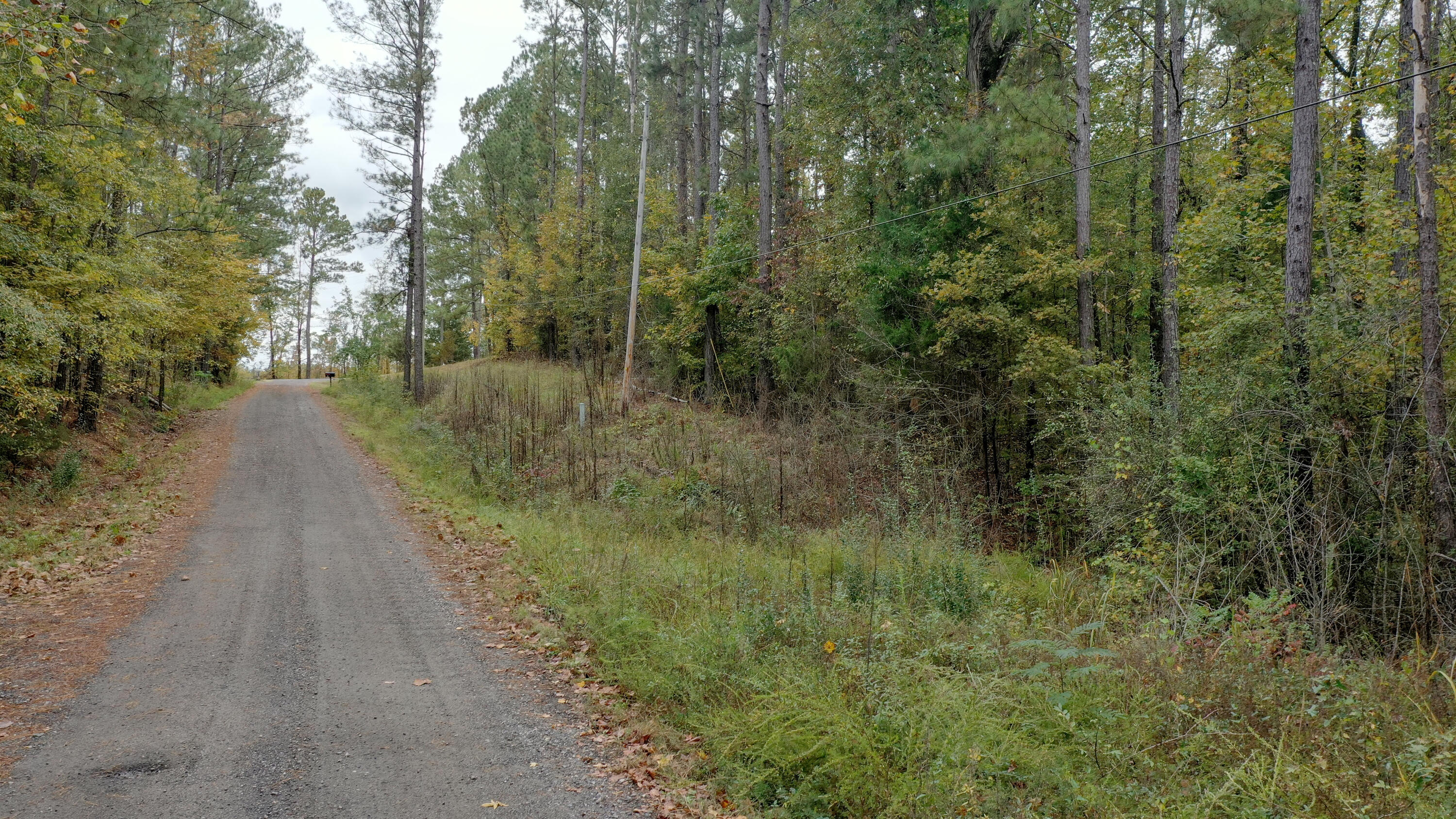 0 Highpoint Road Edgefield, SC 29824 - Photo 11 of 11