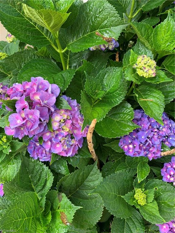 935 Rhine Road Germanton, NC 27019 - Photo 42 of 50