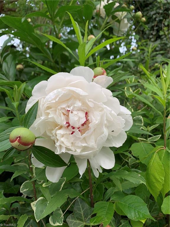 935 Rhine Road Germanton, NC 27019 - Photo 43 of 50