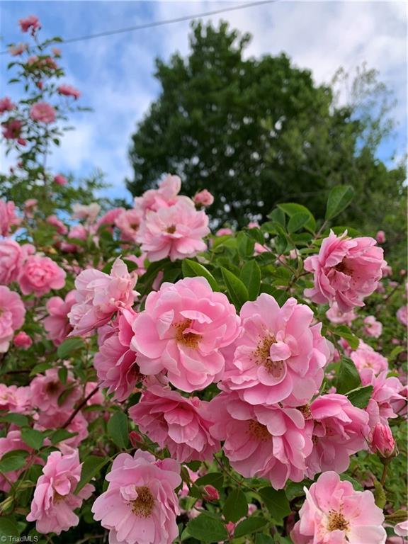 935 Rhine Road Germanton, NC 27019 - Photo 44 of 50