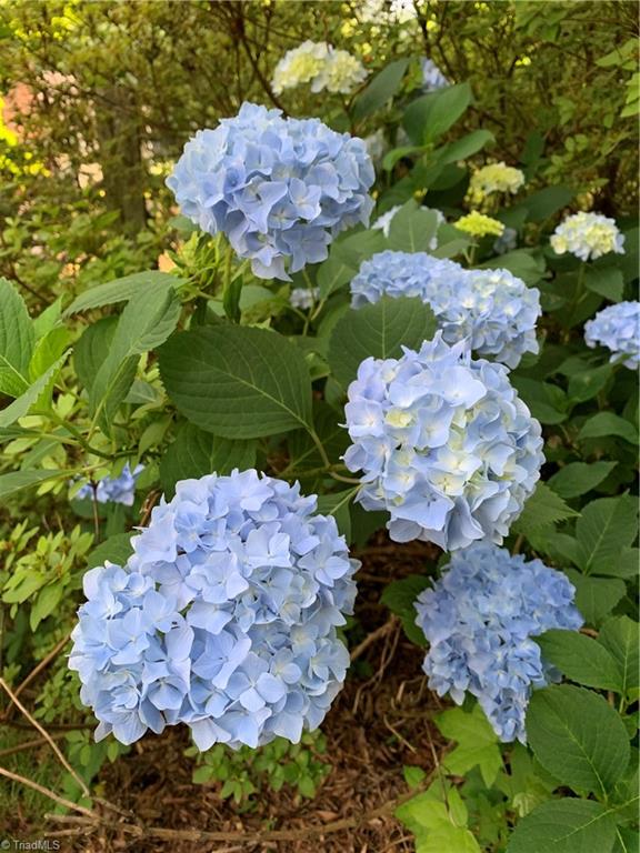 935 Rhine Road Germanton, NC 27019 - Photo 47 of 50