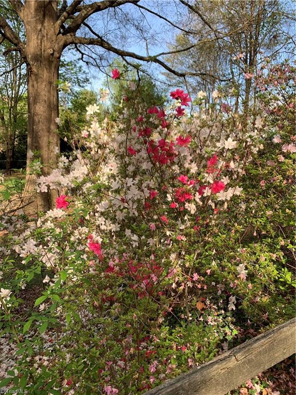 935 Rhine Road Germanton, NC 27019 - Photo 49 of 50