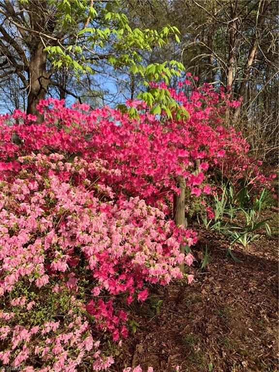 935 Rhine Road Germanton, NC 27019 - Photo 50 of 50