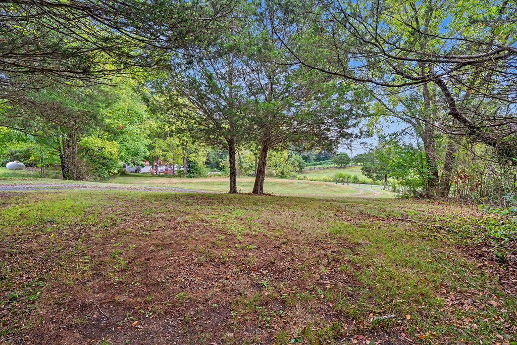 0 Carl Wood Road Rocky Face, GA 30740 - Photo 51 of 58 Gallery Image 51
