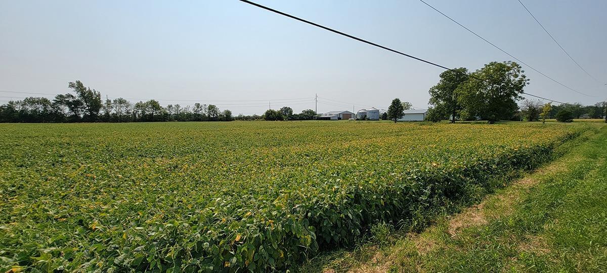 0 Co Road Frankfort, OH 45628 - Photo 3 of 35
